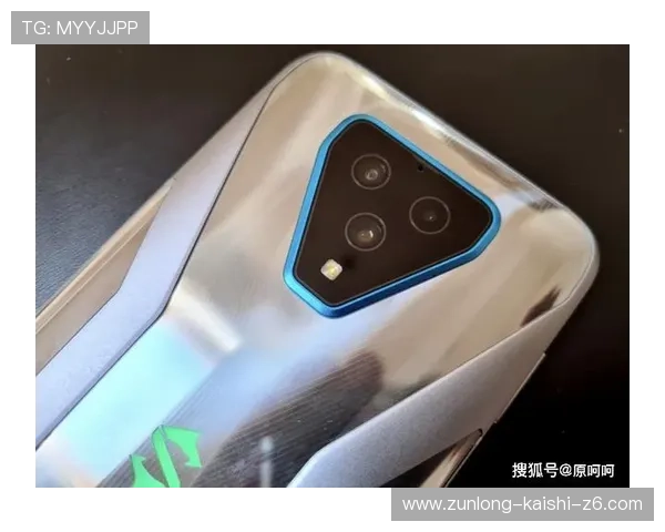 尊龙手机网址支持多种游戏类型，满足不同玩家的娱乐需求与互动体验